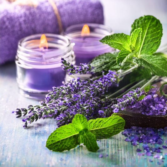 NATURAL ESSENTIAL OIL EDITION- WHIPPED BODY BUTTER'S